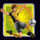 football star deluxe player 2 symbol icon
