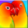 for love and money parrots symbol icon