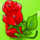for love and money rose symbol icon