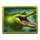forbidden temple power hit crocodile symbol icon