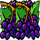 fortune 5 grapes symbol icon