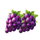 fortune bags grapes symbol icon
