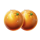 fortune bags oranges symbol icon