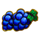 fortune chests blue grapes symbol icon