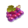 fortune christmas wild grapes symbol icon