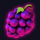 fortune circus grapes symbol icon