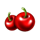 fortune clover 40 cherry symbol icon