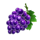 fortune clover 40 grape symbol icon