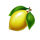 fortune clover 40 lemon symbol icon