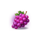 fortune coins unlimited fortune grape symbol icon