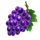 fortune crown 25 grapes symbol icon