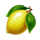 fortune crown 25 lemon symbol icon