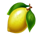 fortune crown gold gift lemon symbol icon