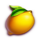 fortune five 20 lines lemon symbol icon