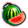 fortune five watermelon symbol icon