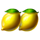 fortune love lemon pair symbol icon