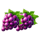 fortune love purple grapes symbol icon