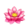 fortune of wu kong floawer symbol icon