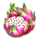 fortune parrot dragonfruit symbol icon