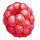 fortune parrot lychee symbol icon