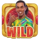 fortune ronaldinho wild symbol icon