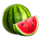 fortune stars watermelon symbol icon
