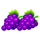 fortune surge grapes symbol icon
