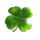fortune tellers charm 6 bonus rush clover symbol icon