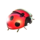 fortune tellers charm 6 bonus rush ladybug symbol icon