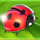 fortune tellers charm 6 mystic visions bug symbol icon