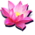 fortune tree of wealth lotus symbol icon