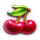 fortune wild cherry symbol icon
