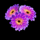 fox trot purple flowers symbol icon