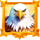 freedom eagle mega x eagle symbol icon