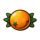 freeway 7 orange symbol icon