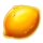 fresh fruit deluxe lemon symbol icon