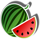 fresh fruits melon symbol icon
