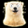 frozen fortunes bear symbol icon
