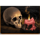frozen inferno skull symbol icon