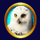 frozen queen arctic owl symbol icon