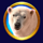frozen queen polar bear symbol icon