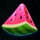 frozen tropics watermelon symbol icon
