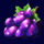 fruit 5 lines grapes symbol icon