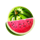 fruit attack 5 watermelon symbol icon