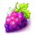 fruit combinator grape symbol icon