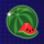 fruit dash watermelon symbol icon