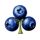 fruit fall fortunes club symbol icon