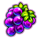 fruit force grape symbol icon