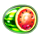 fruit force melon symbol icon