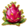 fruit heaven hold and win dragonfruit symbol icon